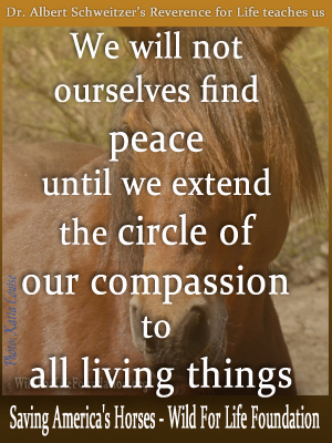 WFLF Circle of Compassion